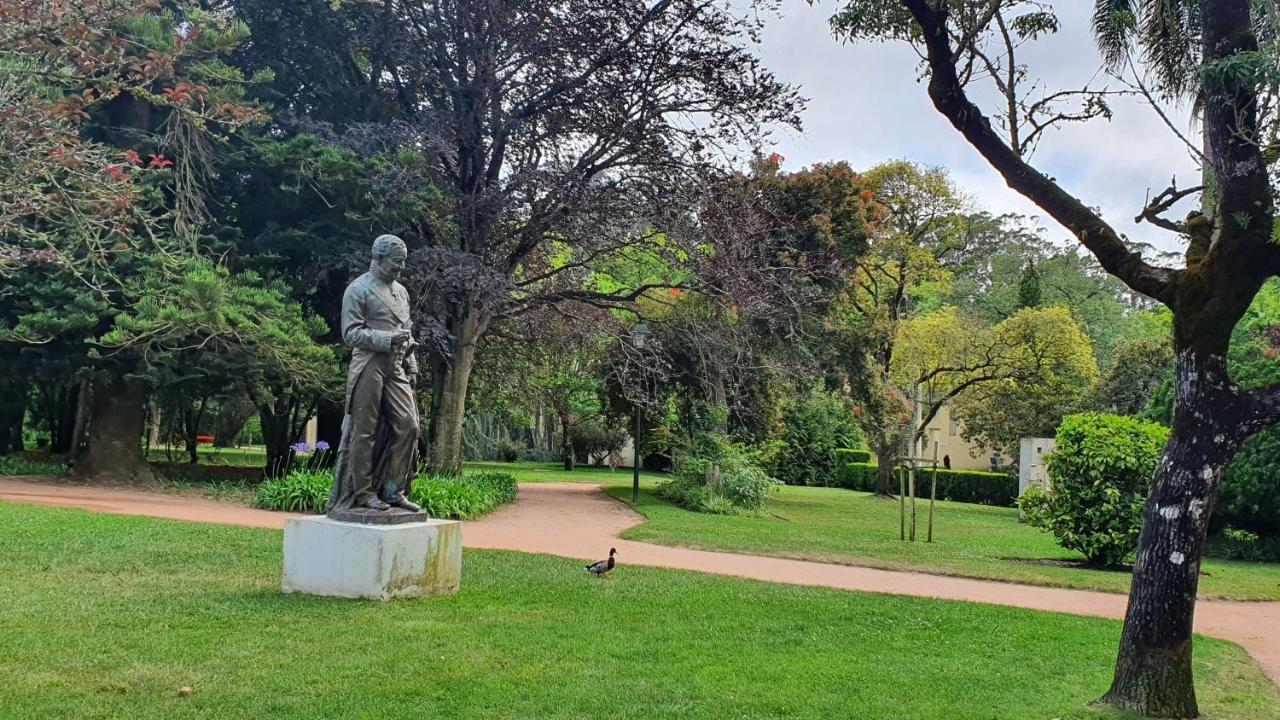 Caldas Da Rainha'S Green & White Luaran gambar
